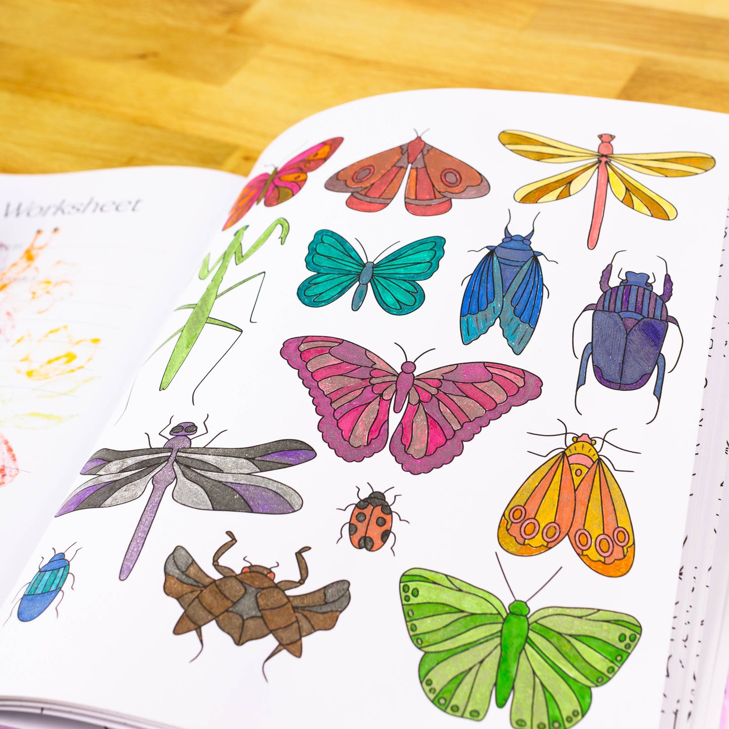 Garden Avenue Coloring Book – Hand-Drawn Floral & Pattern Designs by Elyse Breanne